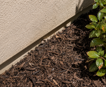 Mulch bed in contact with siding